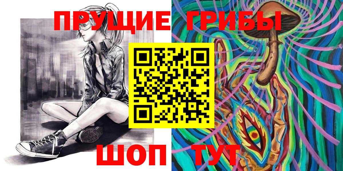 Псилоцибиновые грибы Psilocybine cubensis  Вход с VPN  Луховицы  Псилоцибиновые грибы Psilocybe 