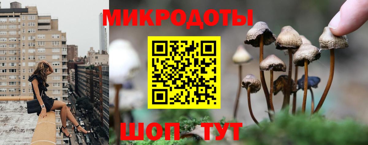Псилоцибиновые грибы Cubensis Луховицы